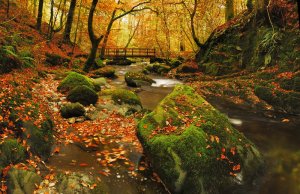 2-Stockghyll.jpg