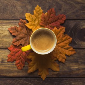 neatly-set-autumn-leaves-around-coffee-mug_23-2147861717.jpg