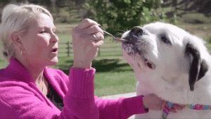 W7O9oQ.gif