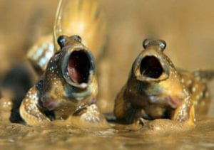 Duet @.jpg