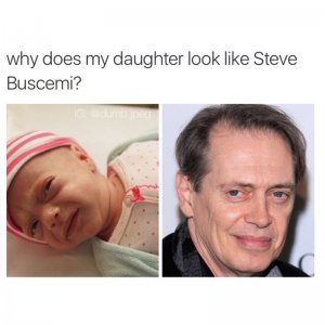 why-buscemi.jpg