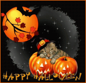 44081-Halloween-Cat.gif