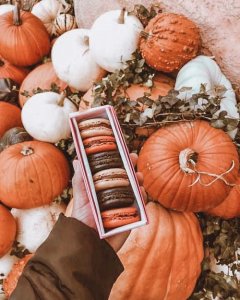 7c361926c848a13a2f303b84e0db4406[1].jpg