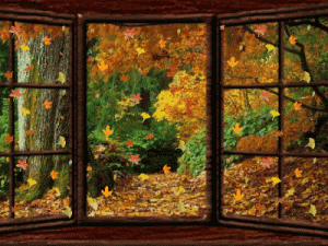 bay window.gif