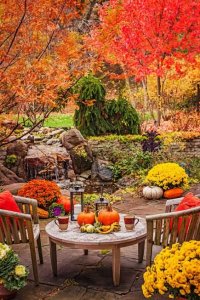 f1766b61d15b457fac54b06ed88e9c10[1].jpg