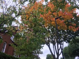 2E3ADCD0-2D15-4E16-BA9A-D923E8E27BE8.jpeg