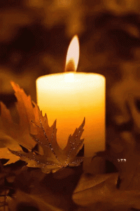 Wed 3.gif