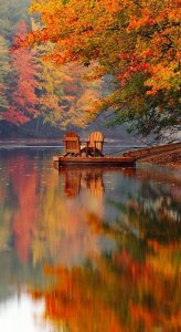 1eb932c60de4877c000f8de658bc3c89[1].jpg
