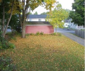yard.jpg