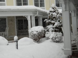 March, 2018 006.JPG
