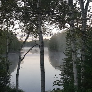 20200831_064518.jpg