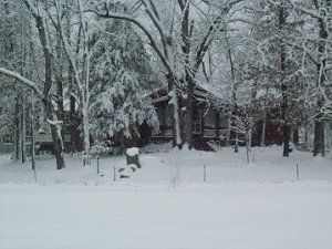 winter.JPG
