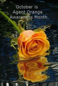 agent orange month.jpg