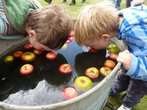apple-bobbing-boys-tb-800x0.jpg
