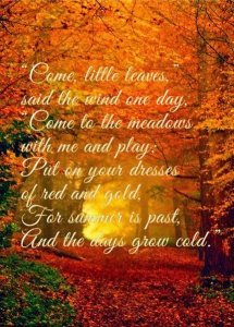 cdb90c38ebfa6f2877e46816242cdc7e[1].jpg