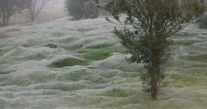 webs-865x452.jpg