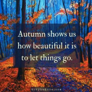 66b229ffa3e933ea17b880c7ad25e5b6[1].jpg