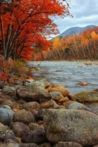 9c5a81d0da7a8bb5e746a08a95b190a6[1].jpg