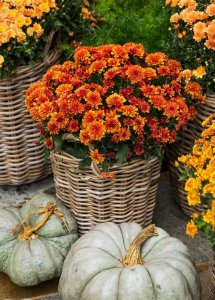 cf6f7292f68fc01e1ac19147e4f558f4[1].jpg