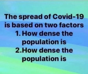 8b4a86a8-e808-49dd-9e12-e3a4b23e2c26.jpeg