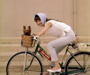 weekend audrey.jpg