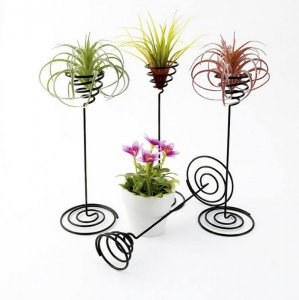 airplant stands.jpg