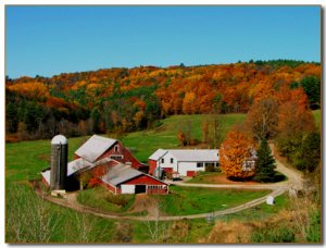vt dairy farm.jpg
