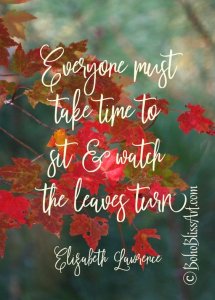63066e5f1e5c61ae07b0c78cbea992aa[1].jpg