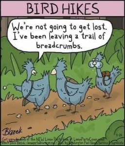 breadcrumbs.jpg