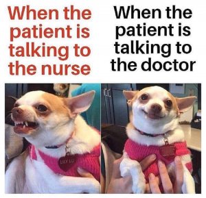 patientnursedoc.jpg