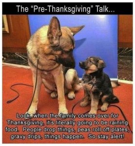 prethanksgiving.jpg