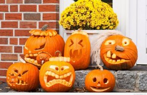 pumpkins.jpg