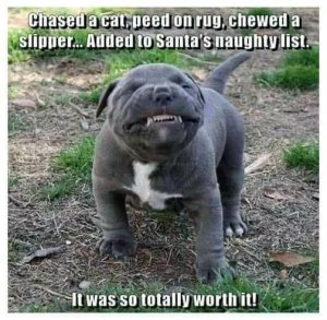 FB_IMG_16021990552213664.jpg