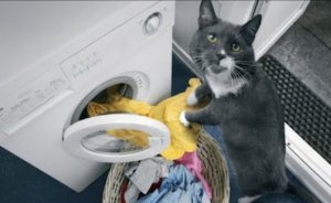 Laundry @.jpg