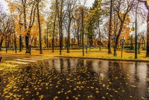 1024px-Paris_raining_autumn_cityscape_(8252181936).jpg