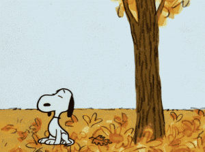 J.gif