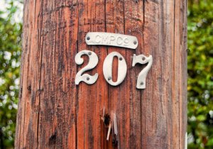 Number 207 @.jpg