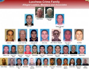 nj-operation-heat-lucchese-crime-familyjpg-f4b917a7dbe32d37.jpg
