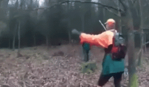 Wed one.gif