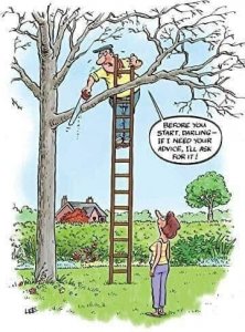 tree.jpg