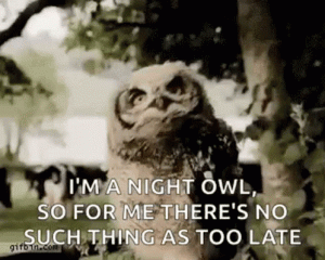 nightowl.gif