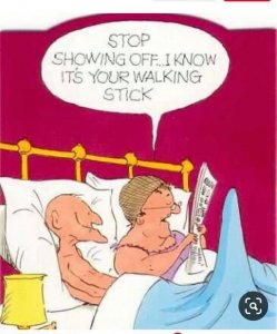 walkingstick.jpg