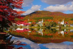 Island pond.jpg