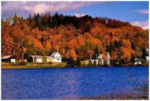 Joe's pond.jpg