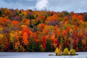 Kent pond.jpg
