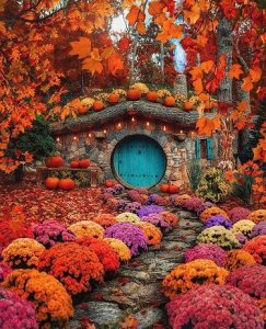 autumn.jpg