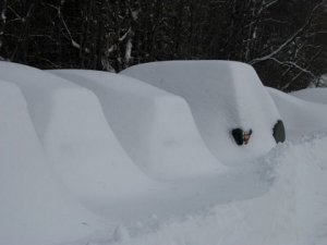 where did I park.jpg