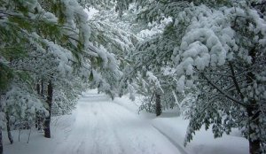 winter road.jpg