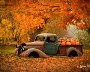 7b7a0c733b97fbf609ef1ab00464eb70[1].jpg