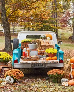 ecbcb1290c9163ebdcef4a23dbf5a345[1].jpg